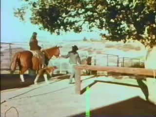 Love Farm - 1971