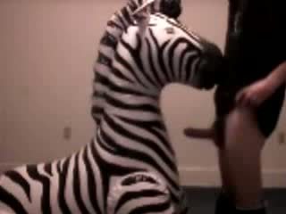 Zebra gets throat गड़बड़ द्वारा pervert guy वीडियो