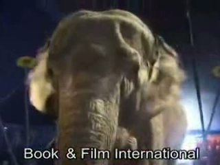 Elephant porn tube