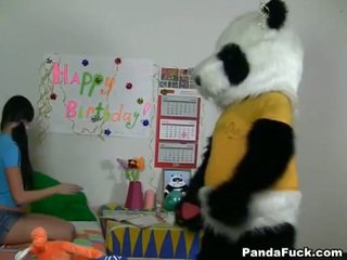 Panda gets 젊은 비탄 아기