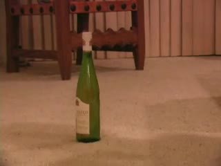 Skinny girl vs wine bottle
