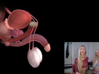 Male Orgasm Anatomy Explained Educational JOI: Free Porn 85