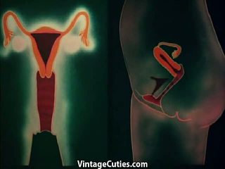 Anatomic Sex in Different Places 1960s Vintage: Porn b1